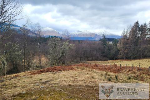 undefined, Black Sheep, Inverroy, Scottish Highlands