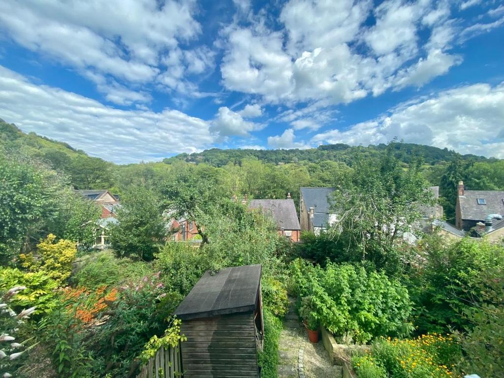 Garden view, garden