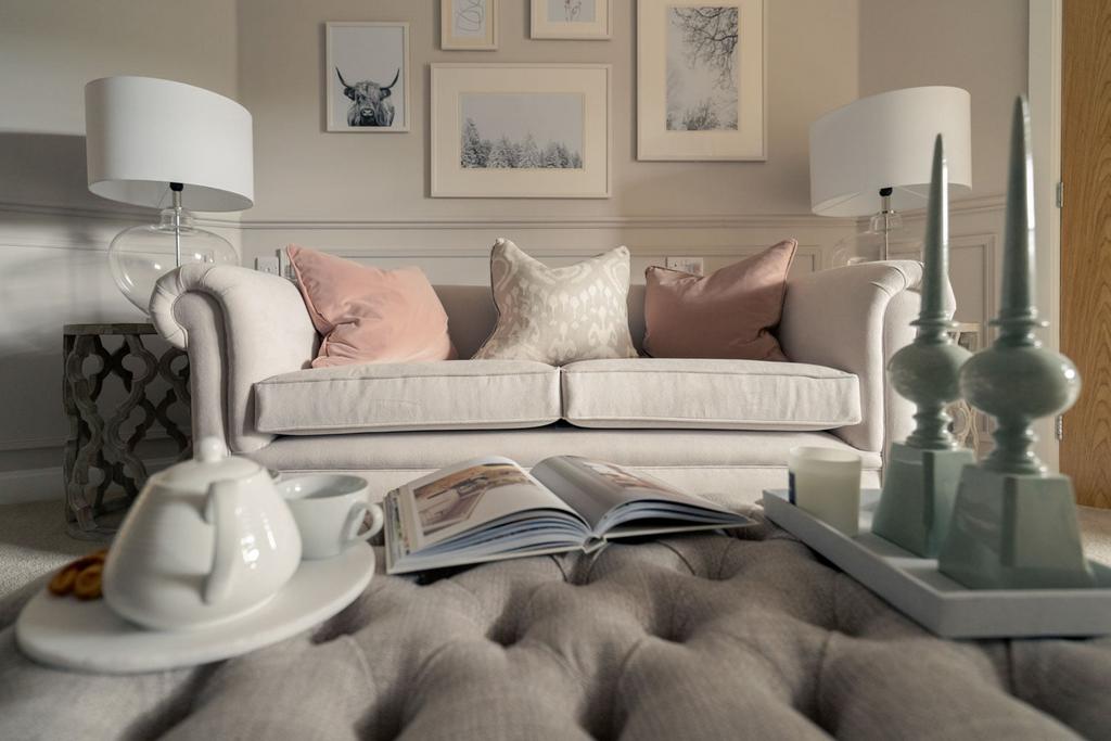Show home living room