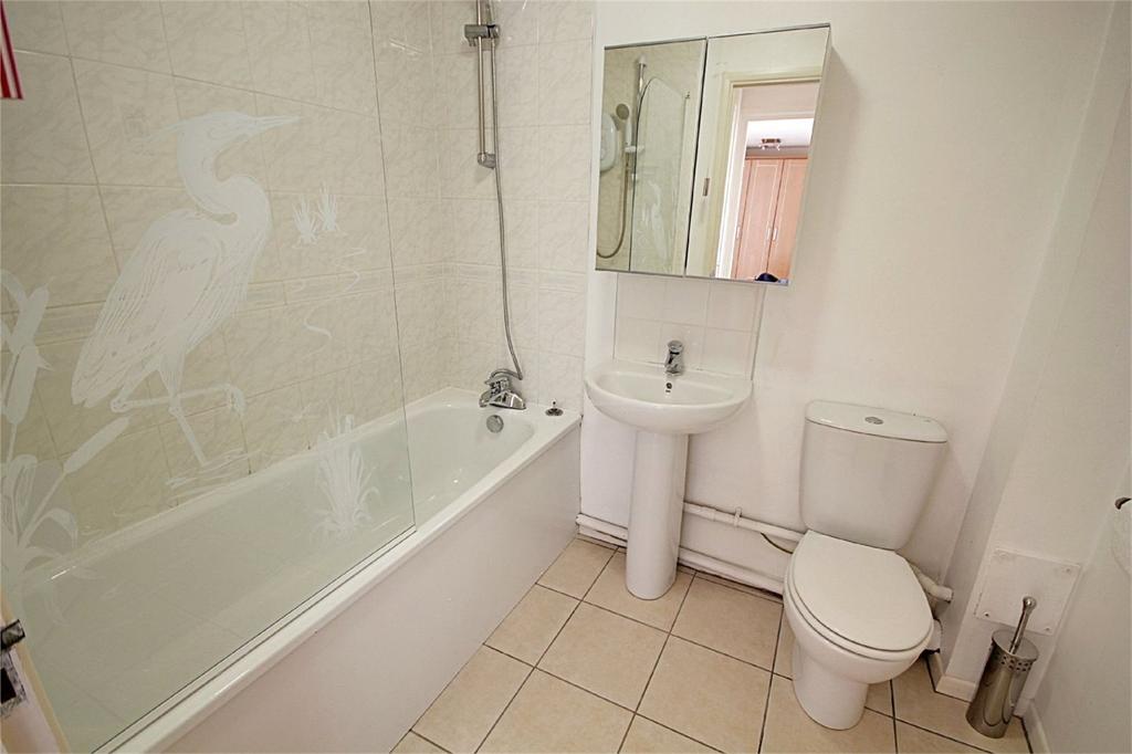 Picture 5