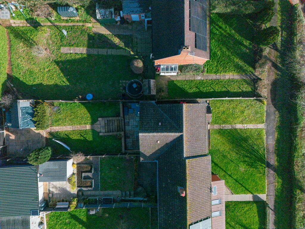 Birdseye