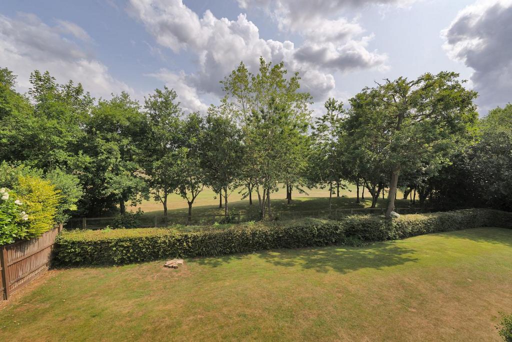 Communal Garden &amp; View