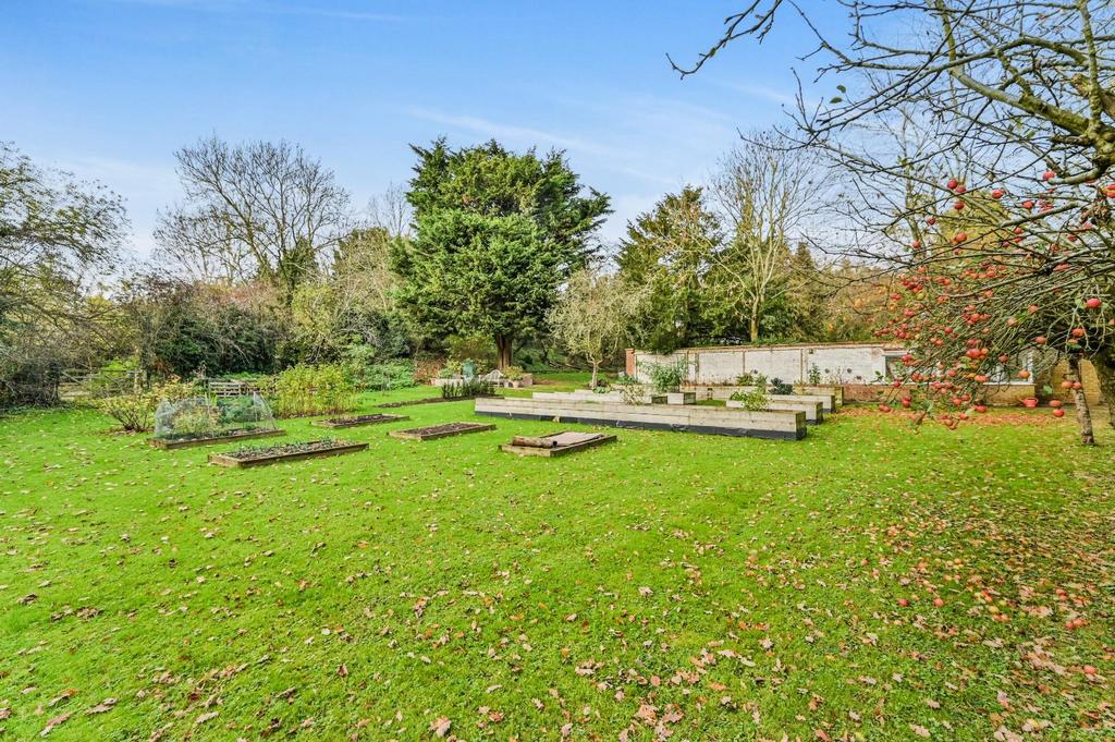 Communal Gardens