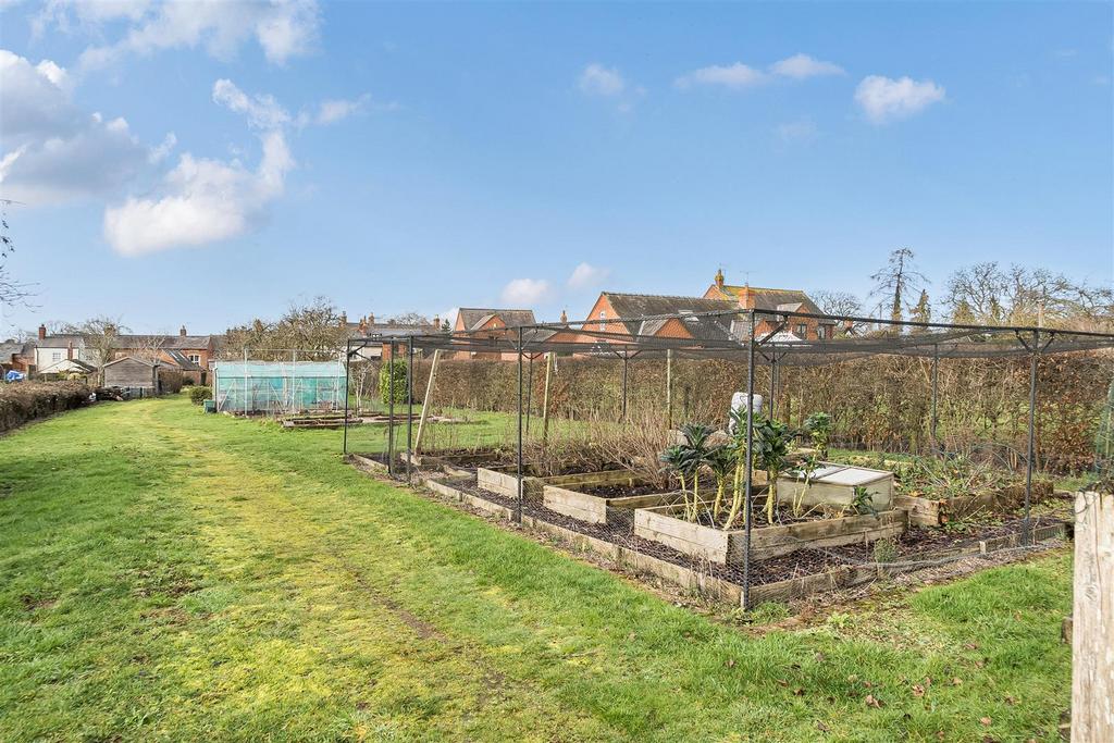 Vegetable Plot