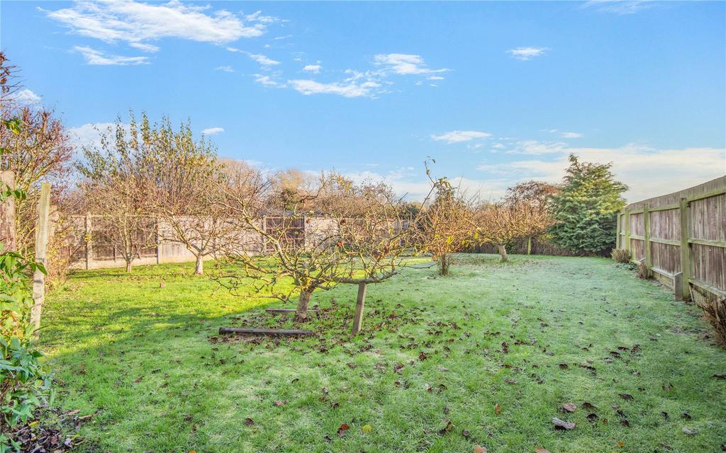 Orchard