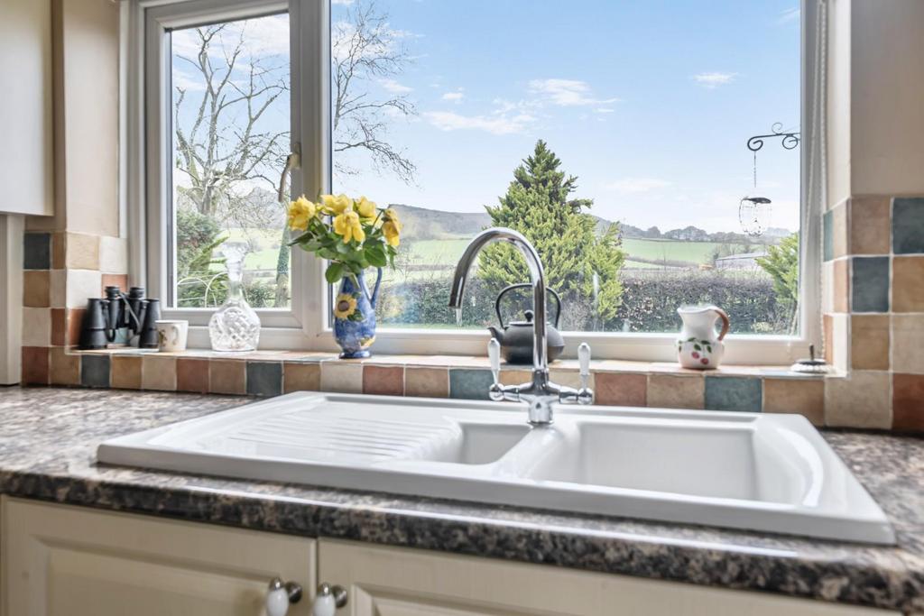 Kitchen window view.jpg