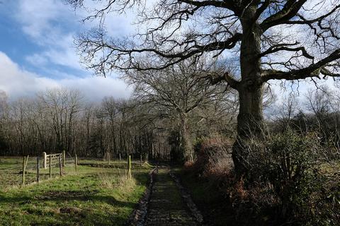 undefined, Kilndown Road, Wadhurst TN5