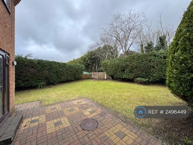 Patio Area / Rear Garden
