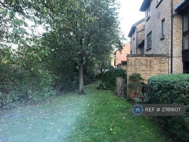 Rear  Of  Property