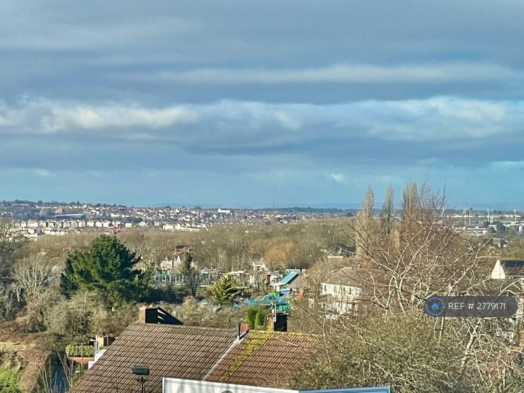 City Views