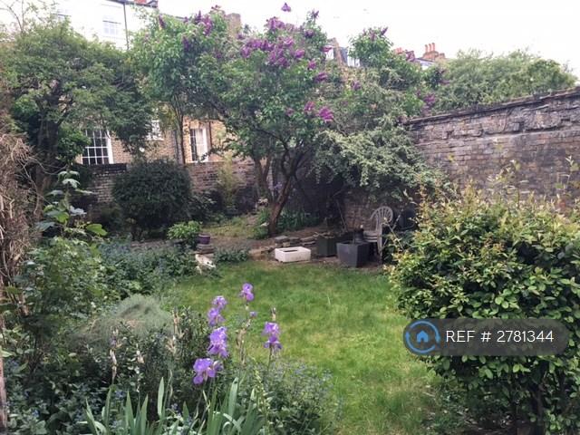 Garden 1