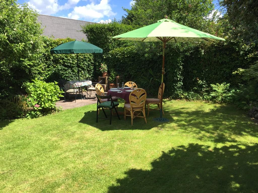 Garden in Summer