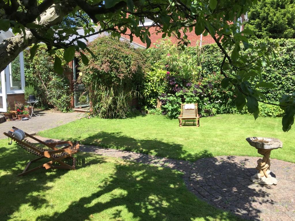 Secluded Summer Garden