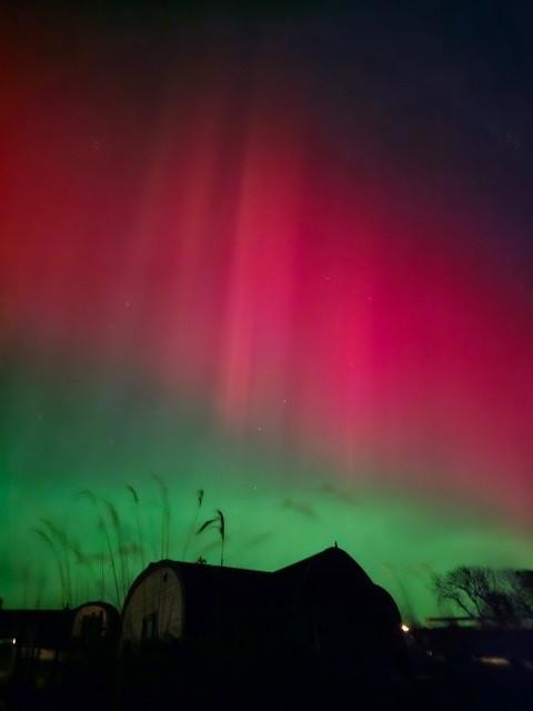 Cabin 2 northern lights 3