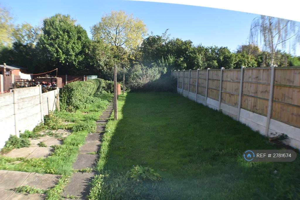 Back Garden