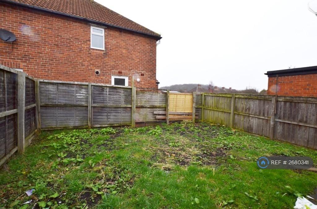 Back Garden