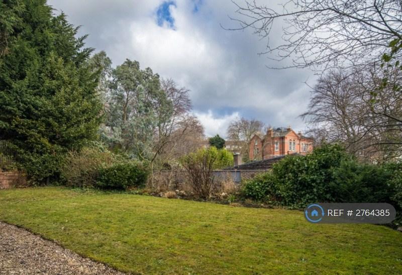 Back Garden