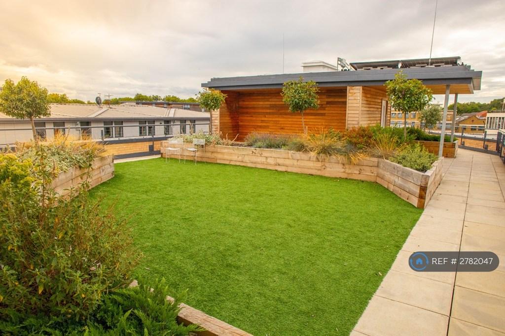 Roof Garden