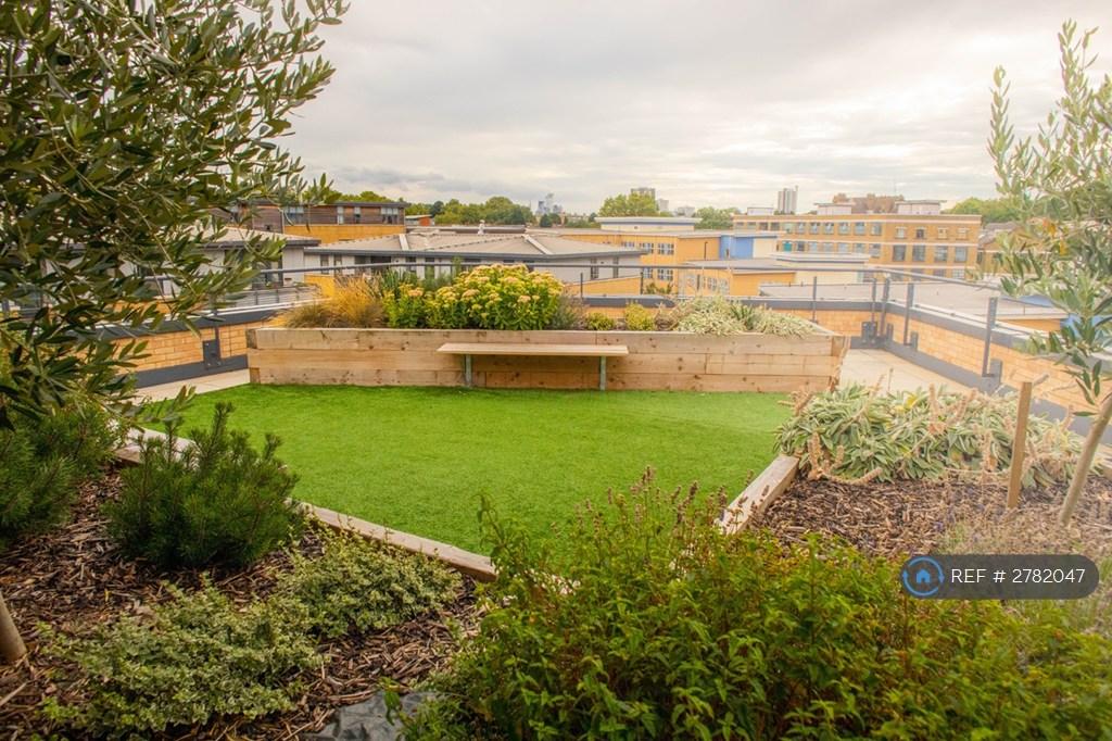 Roof Garden