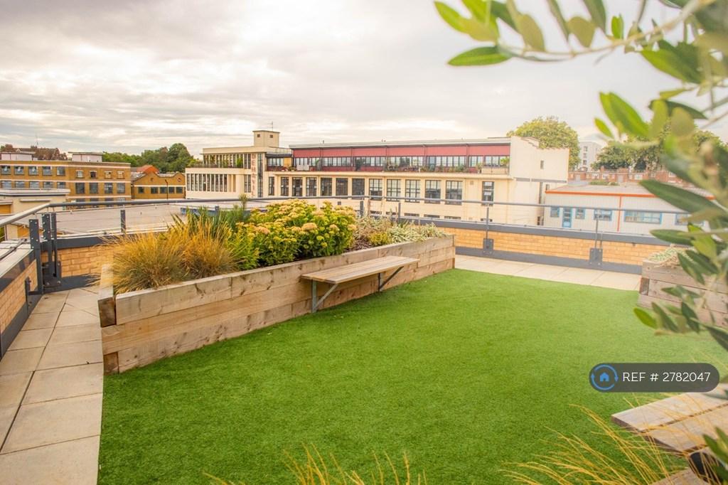 Roof Garden