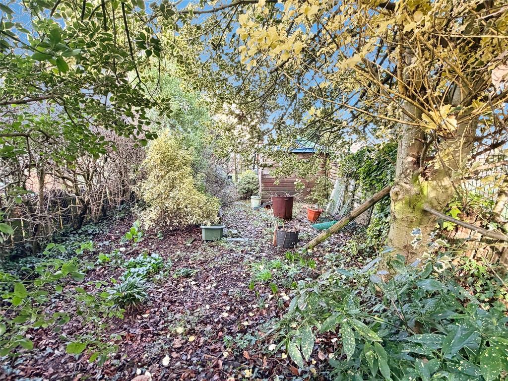 Extended Rear Garden