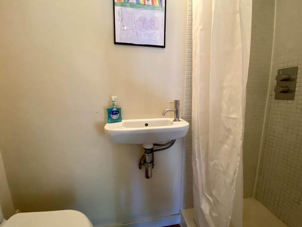 Garden Studio Shower Room