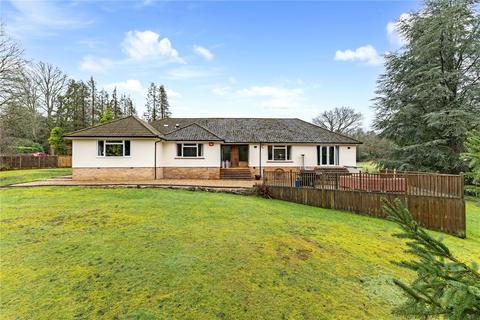 4 bedroom bungalow for sale, Soke Road, Silchester, Reading, Hampshire, RG7