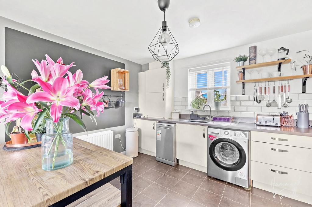 Kitchen / Living / Dining