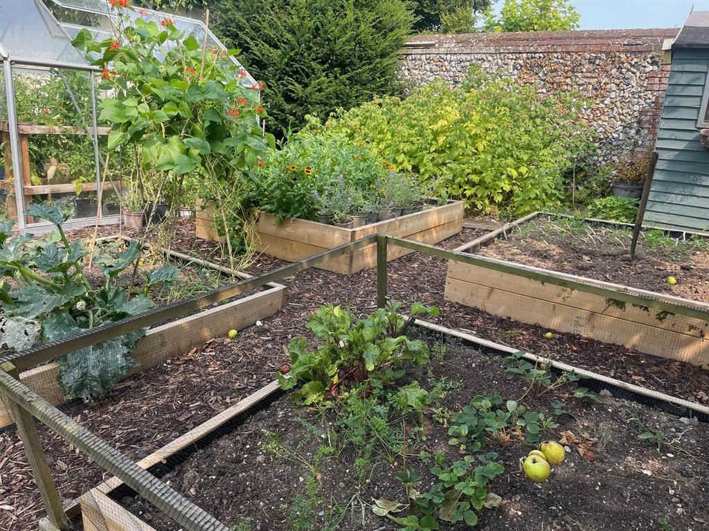 Kitchen garden in summer.jpg
