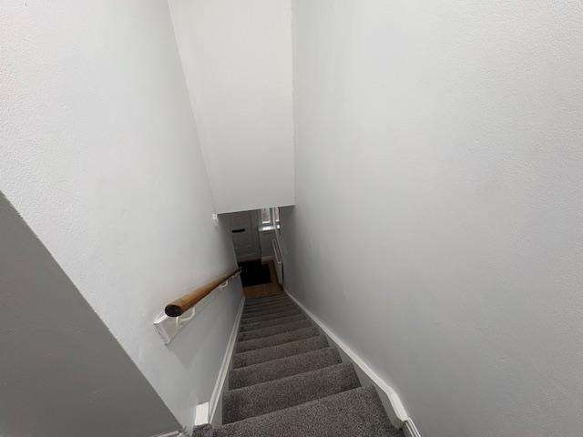 IMG 0319.jpeg