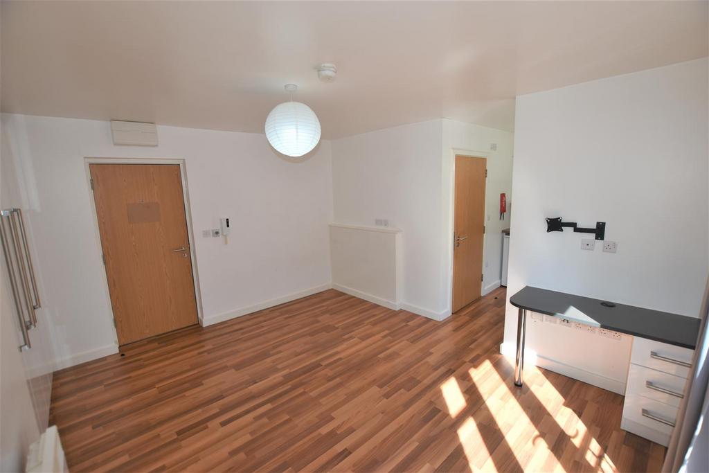 Lounge/Bedroom