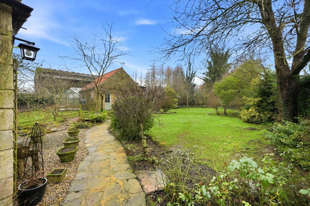Picture No. 41