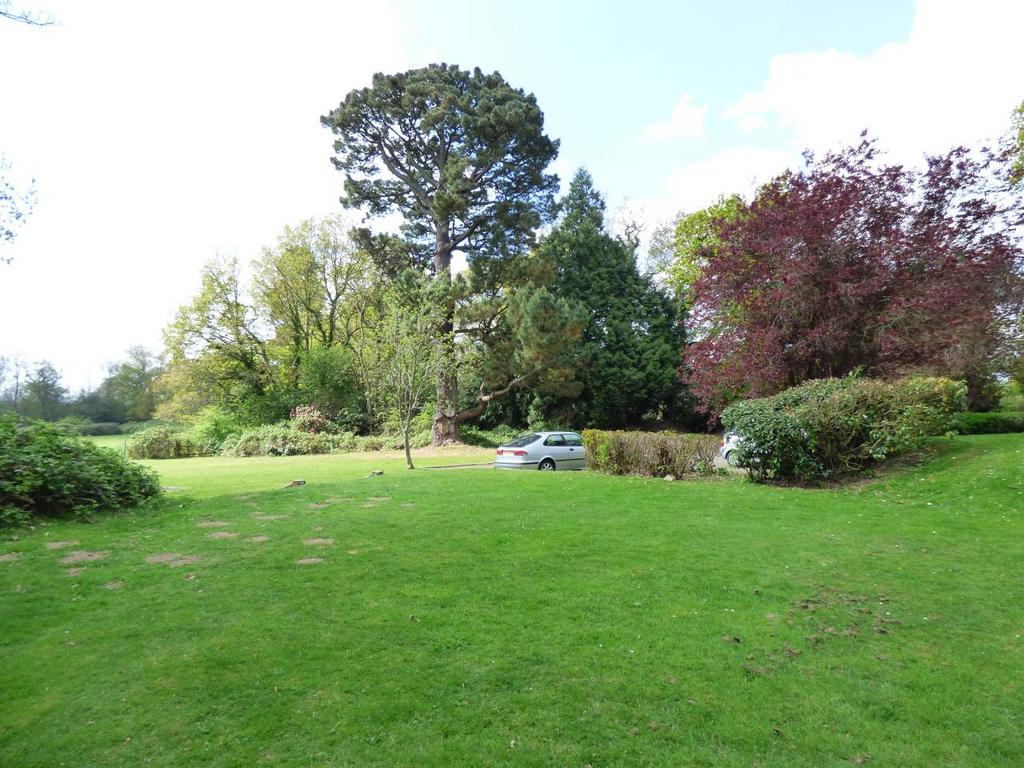 P1210190