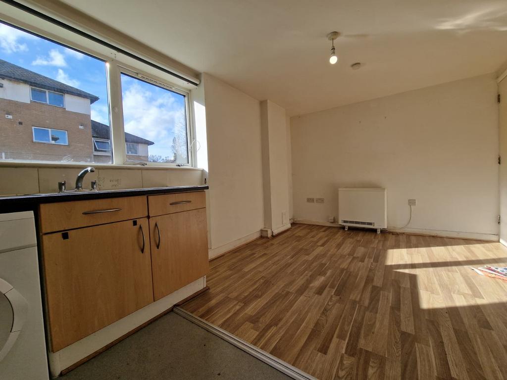 Kitchen / Living Area