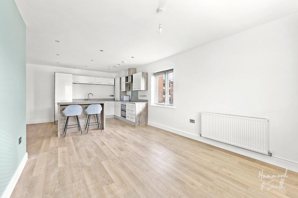 Kitchen / Living / Dining