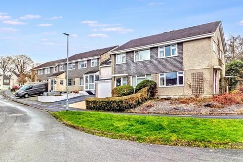 Sycamore Avenue, Tavistock, PL19