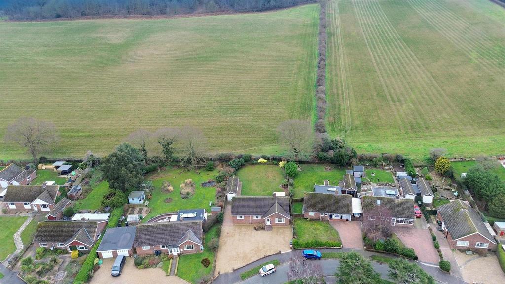 DJI 0664.jpg