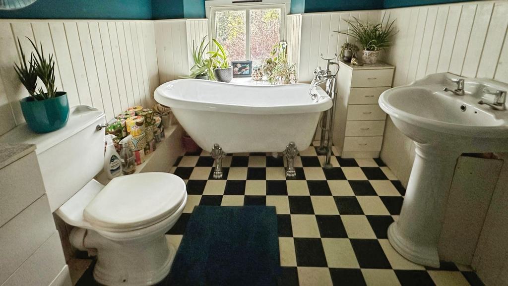 3990574e-IMG 0714.JPG
