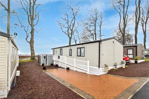 undefined, Willow Walk, Arbroath DD11
