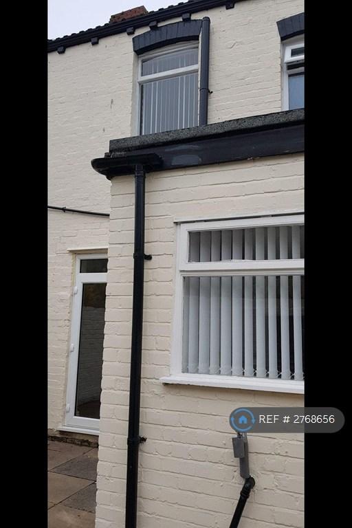 Rear Yard