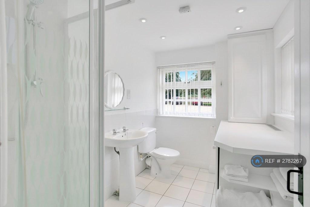 Downstairs Shower Room