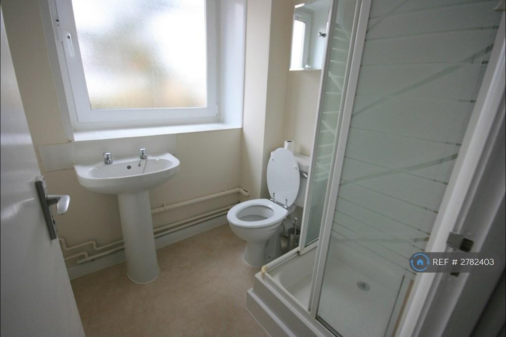 Toilet And Shower Room