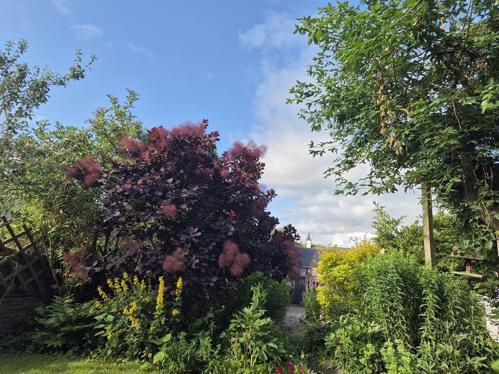 Shearman Garden V3.jpg
