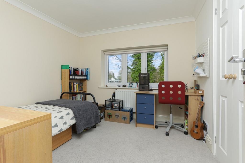 Picture 19