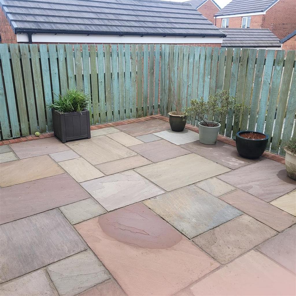 1000038433.jpg