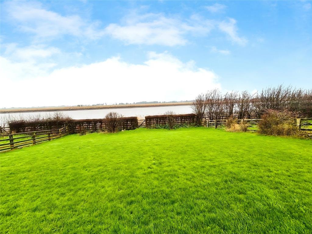 Back Garden
