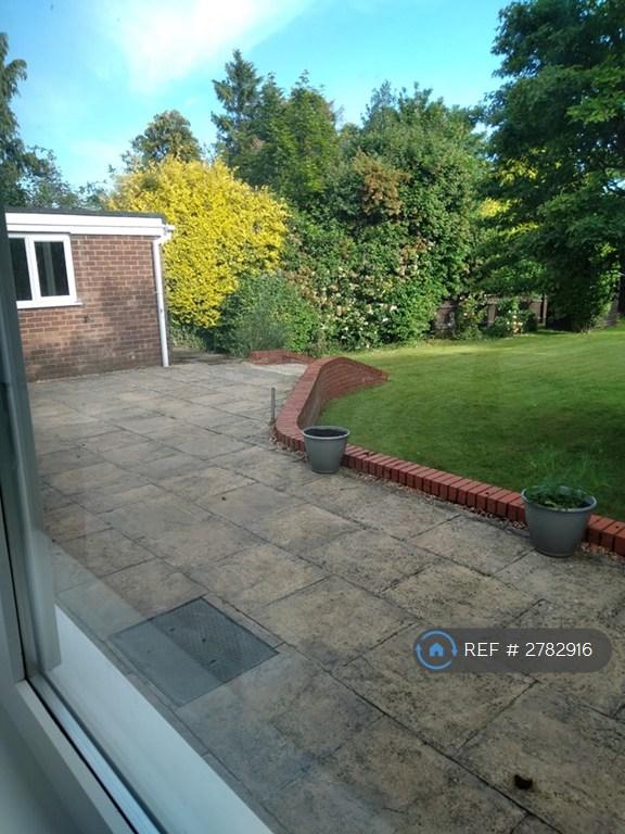 Rear Patio