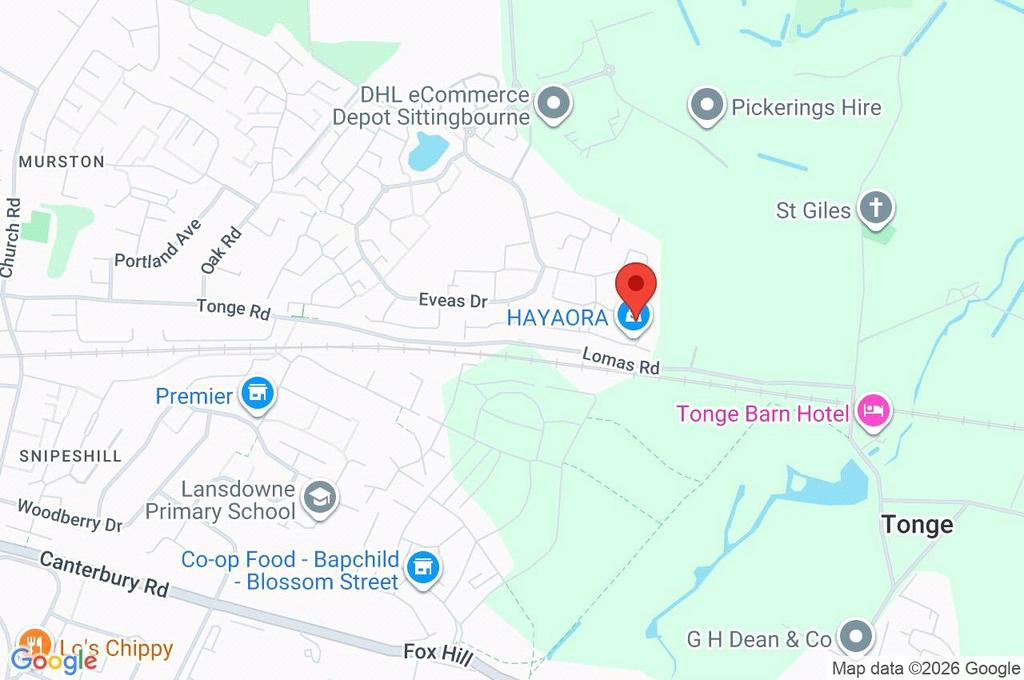 Google Maps Image