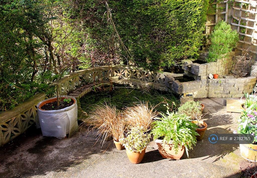 Pond