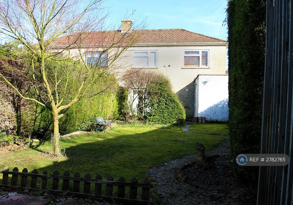 Large Back Garden